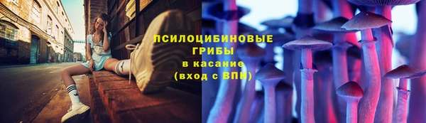 СК Нефтегорск