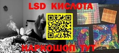прущие крисы Камышлов