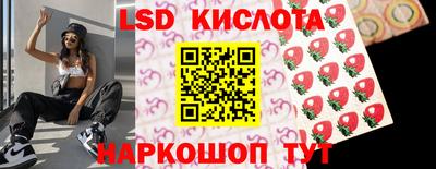 spice Кандалакша