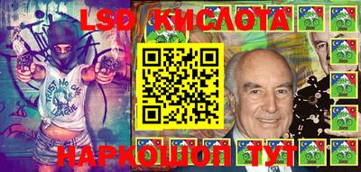 прущие крисы Камышлов