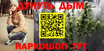 прущие крисы Камышлов