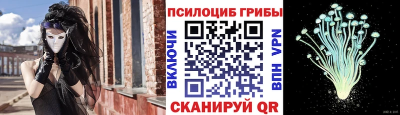 Галлюциногенные грибы Cubensis  сколько стоит  ссылка на мегу ТОР  Ревда 