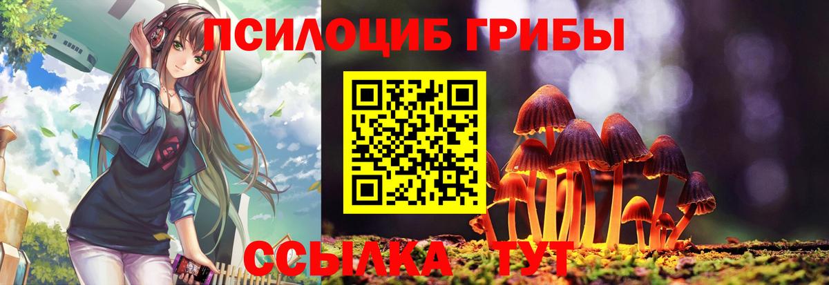 Псилоцибиновые грибы Psilocybe  Вход с VPN  Ревда 